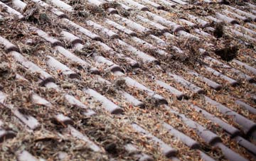 Logierait roof cleaning companies